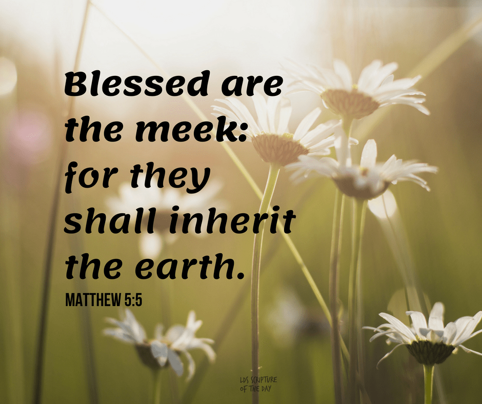 Matthew 5:5 - Latter-day Saint Scripture Of The Day